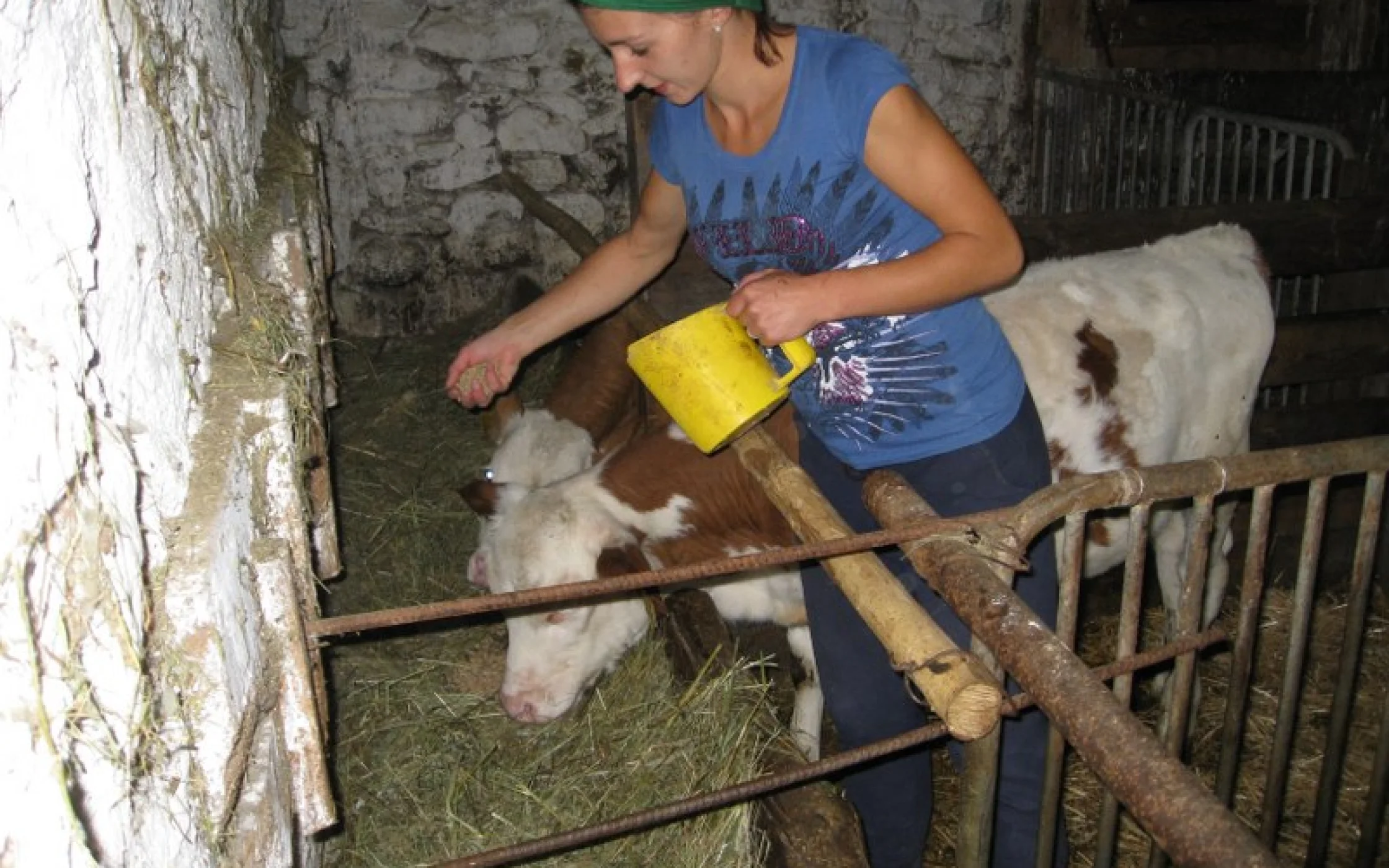 Sabine Stuefer_30 09 12_21 46_1349034362_800x600.jpg